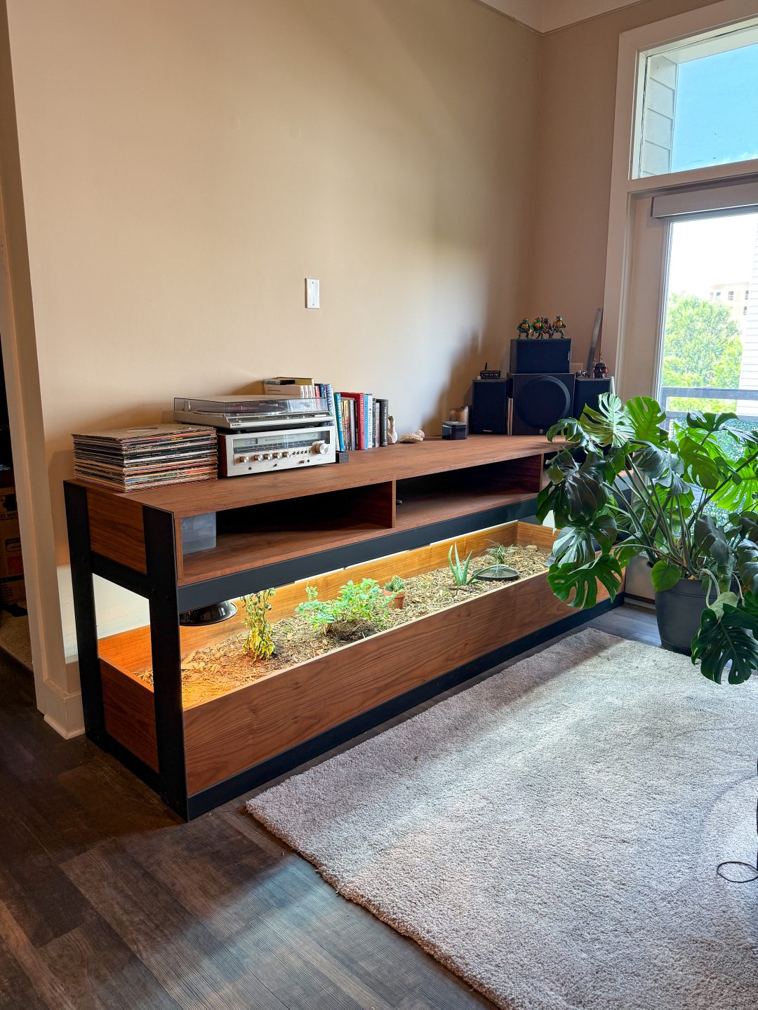 Console Table & Tortoise Enclosure