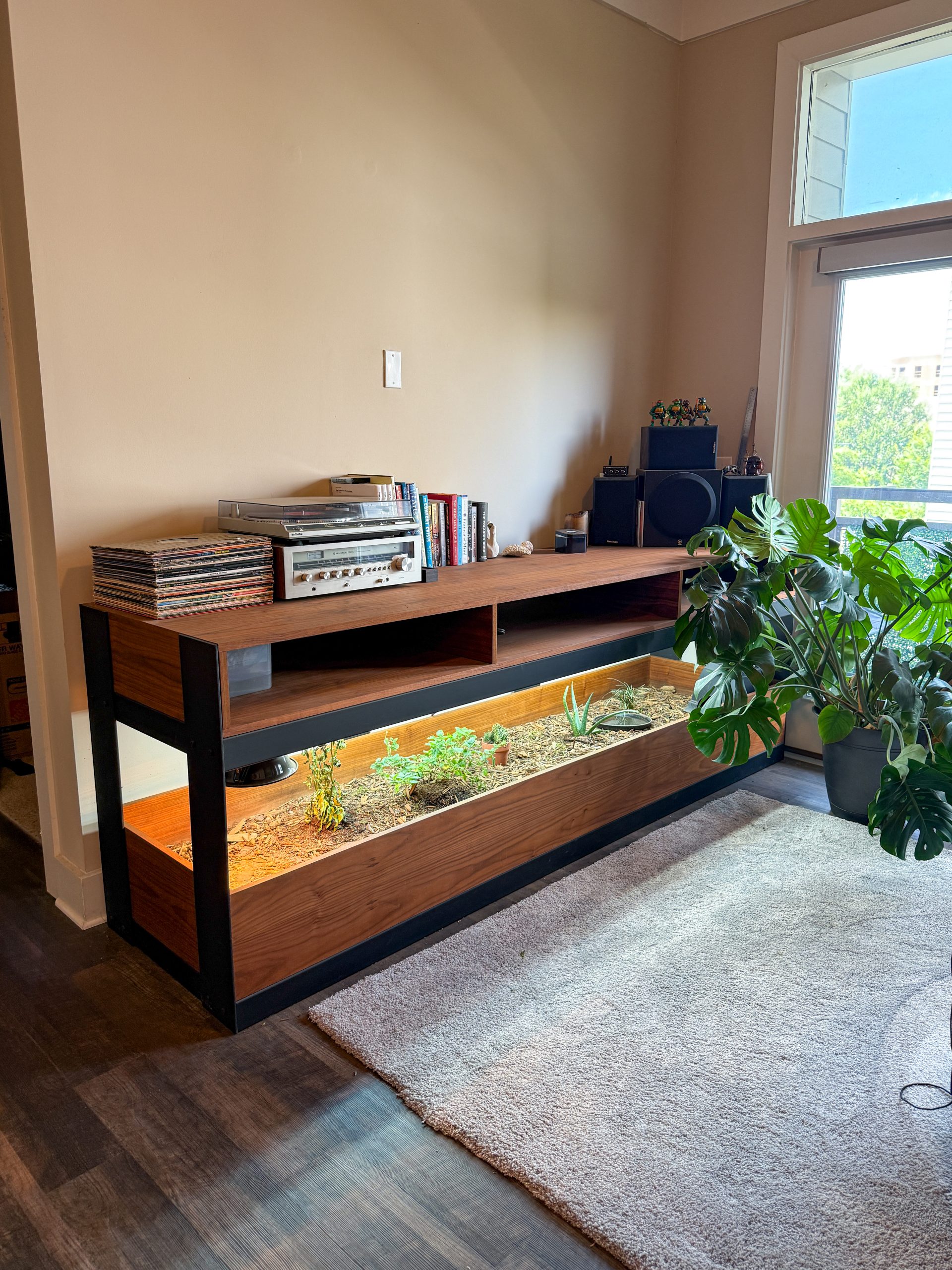 Console Table & Tortoise Enclosure